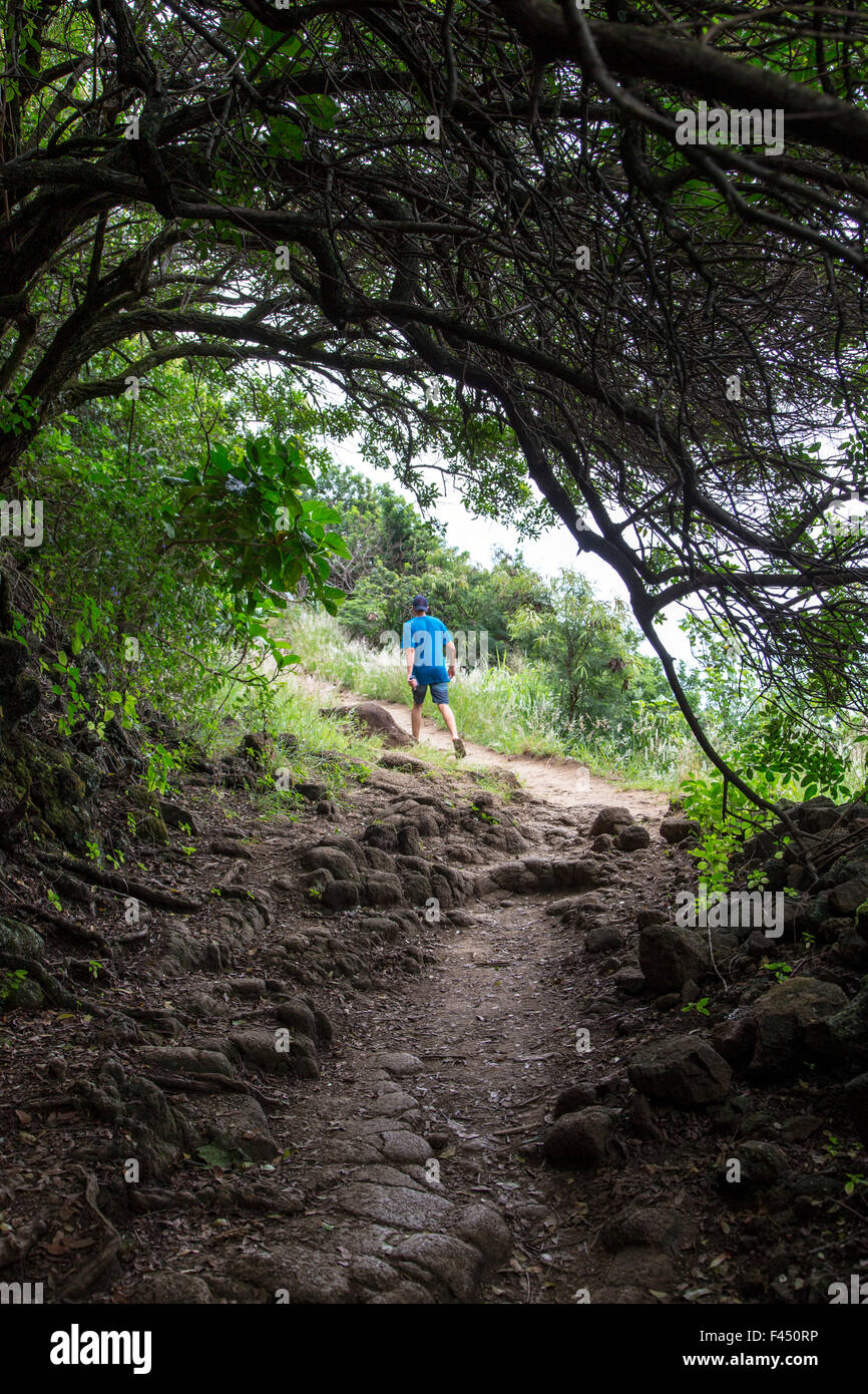 Randonneurs sur le sentier d'Akoakoa Point, Polulu Valley, Grande Île d'Hawai'i, Hawaii, USA Banque D'Images