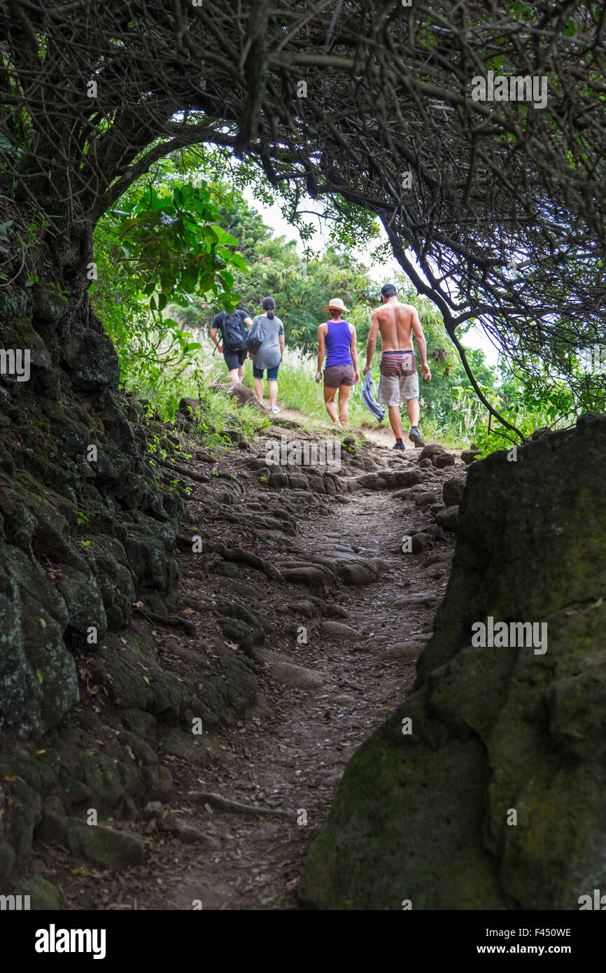 Randonneurs sur le sentier d'Akoakoa Point, Polulu Valley, Grande Île d'Hawai'i, Hawaii, USA Banque D'Images