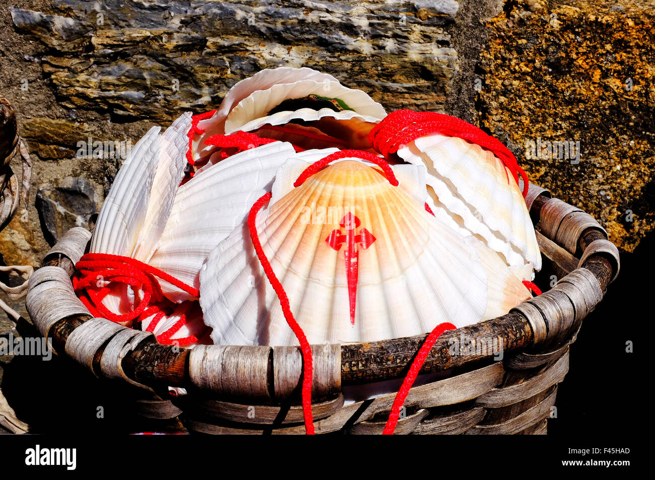 Coquilles St Jacques avec la croix de l'Ordre de Santiago. De coquilles sont le symbole du Saint James Way (Camino de Santiago Banque D'Images