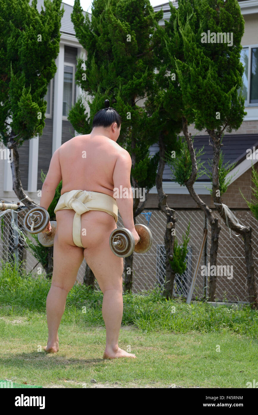 Yokozuna Hakuho Sho Banque D'Images