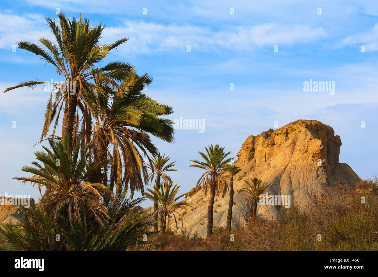 Parc Naturel du désert de Tabernas, Tabernas, la Province d'Almeria, Andalousie, espagne. Banque D'Images