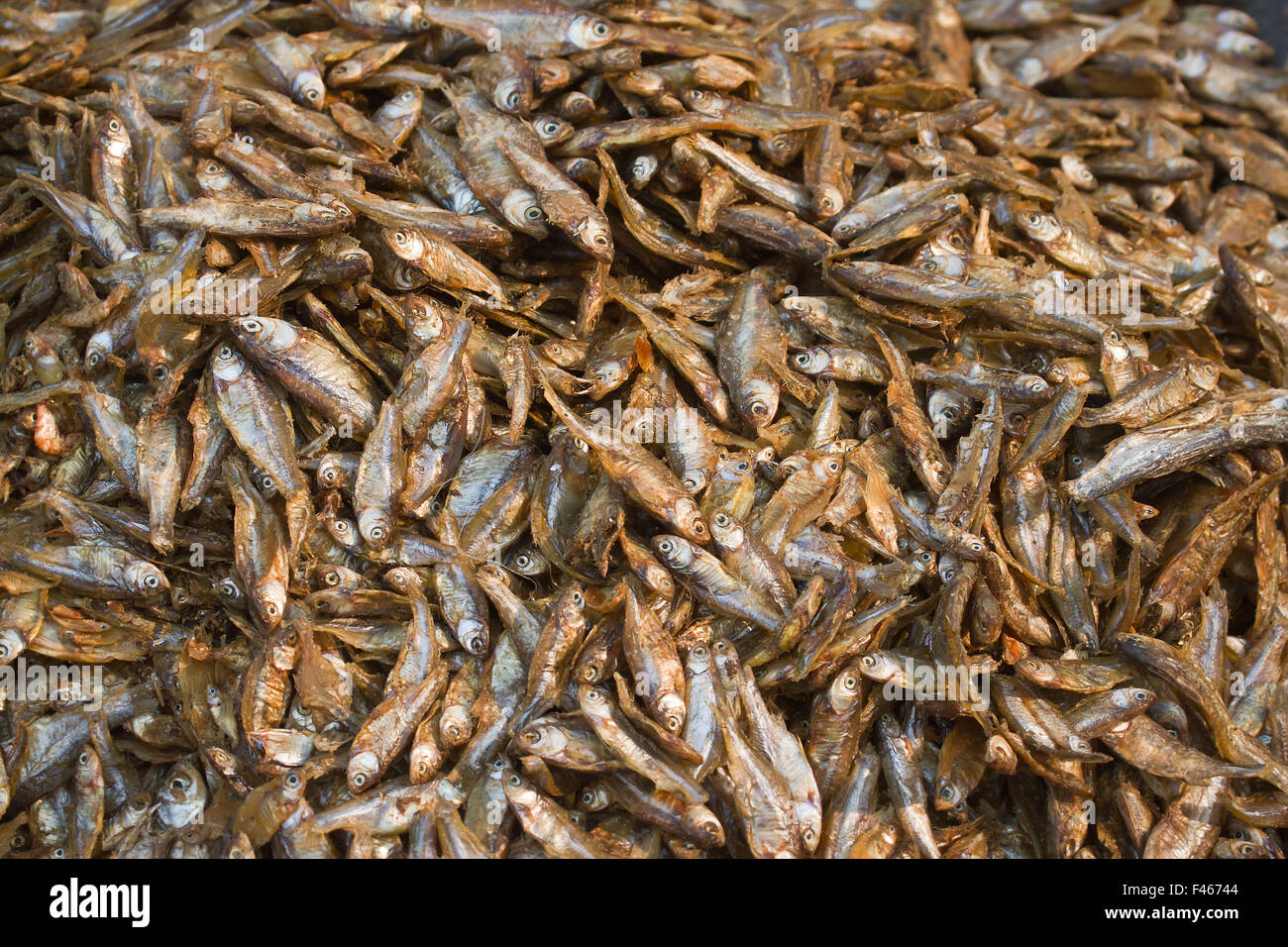 Séchage du poisson dans le marché népalais Banque D'Images