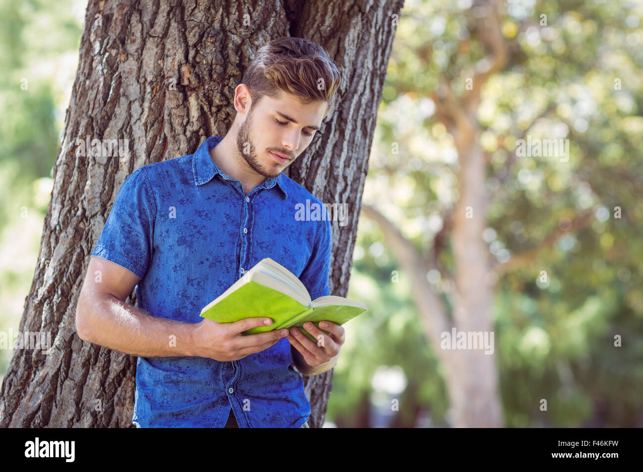 Young man reading a book Banque D'Images