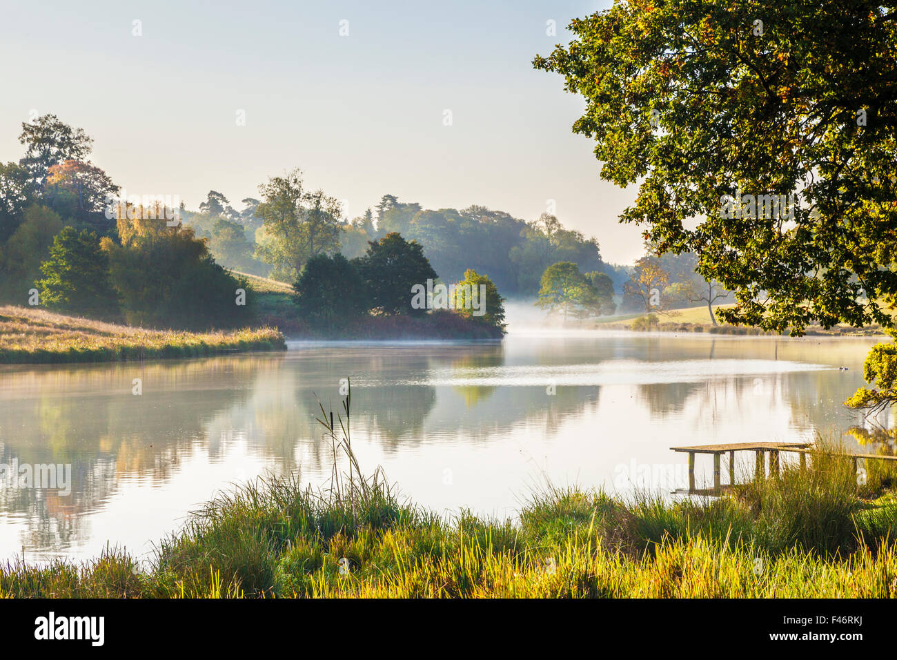 Brume d'automne sur le lac sur le Bowood Estate dans le Wiltshire. Banque D'Images