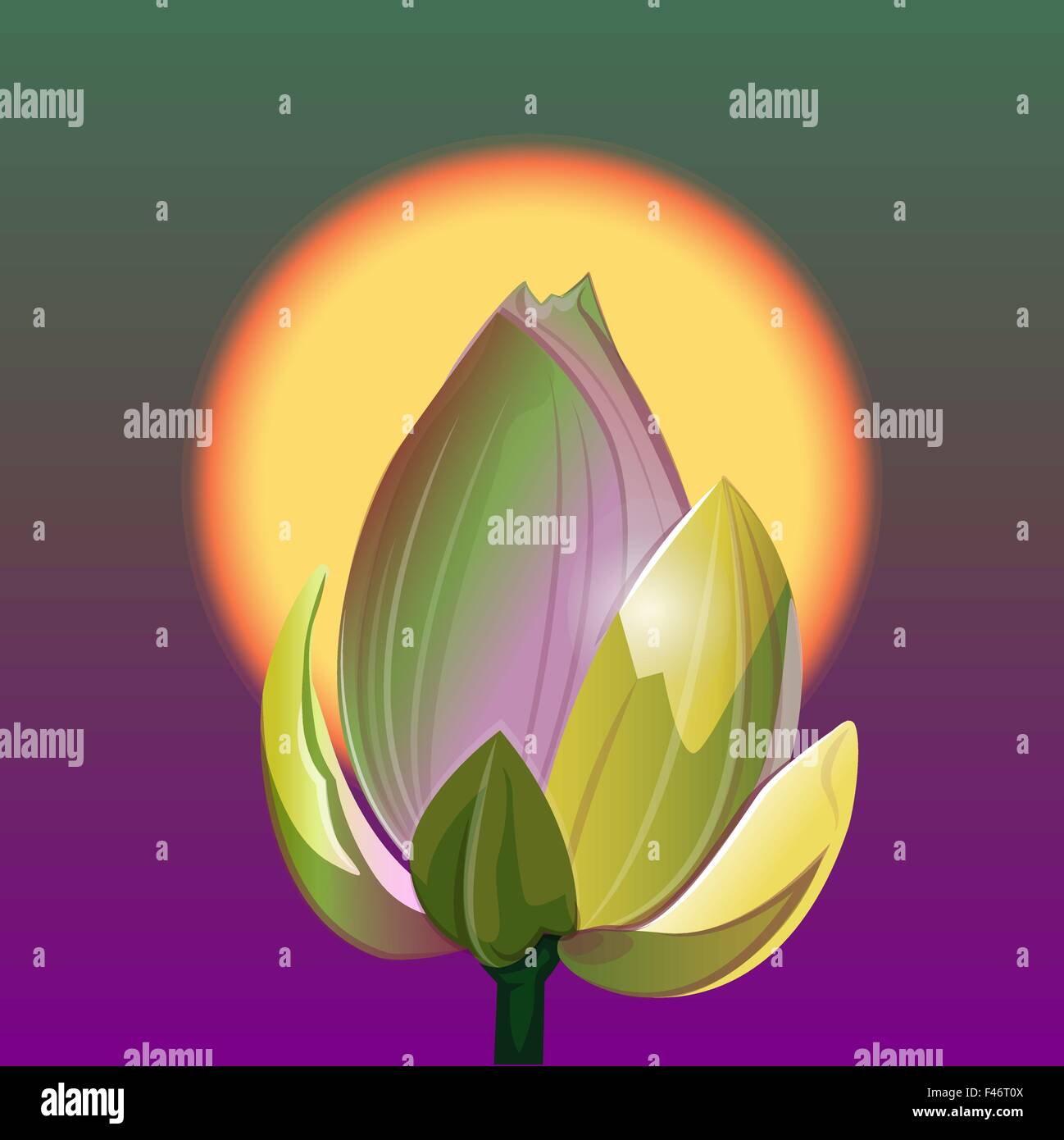 La fleur de lotus sur l'arrière-plan du soleil levant. Vector Illustration Illustration de Vecteur