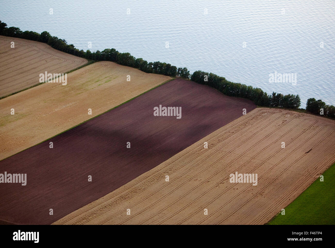 Les terres arables, vue aérienne, la Suède. Banque D'Images
