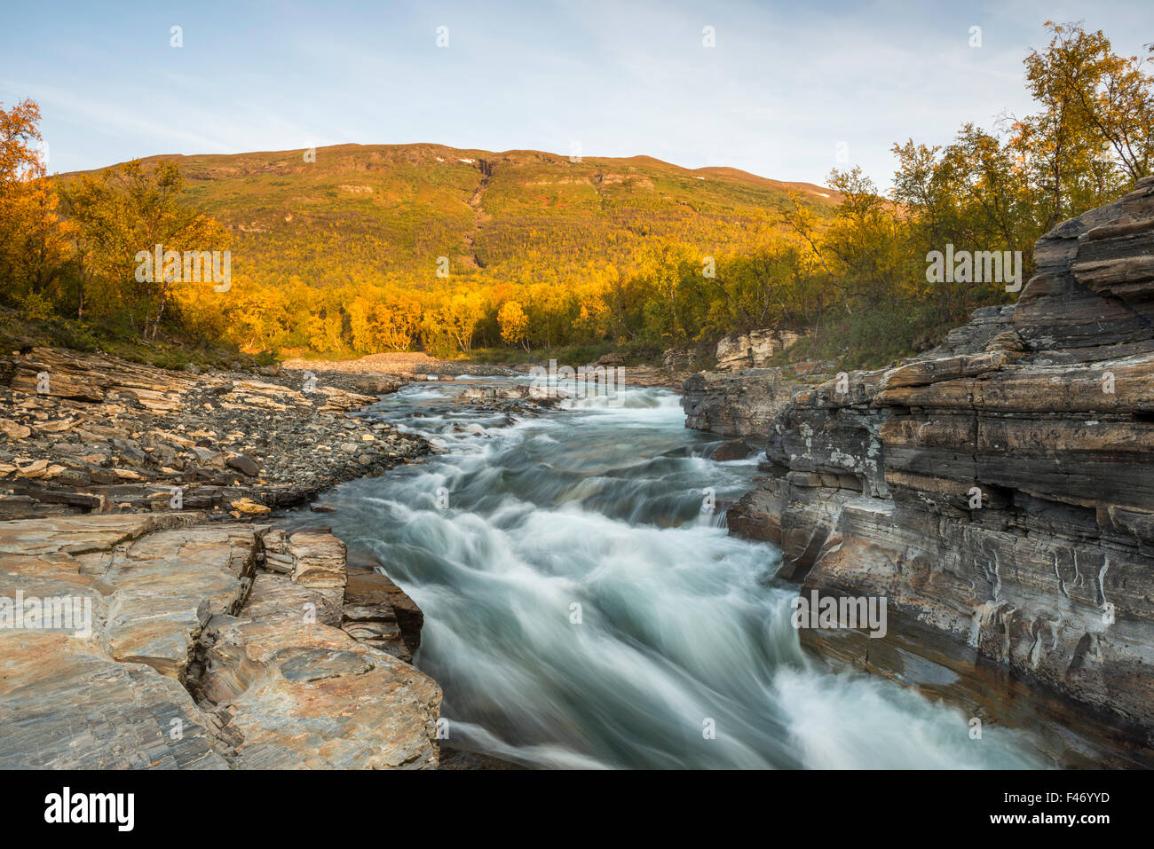 Abisko canyon d'automne, Abiskojokk Abiskojokk, rivière, Abisko National Park, Norrbotten, Lapland, Sweden Banque D'Images