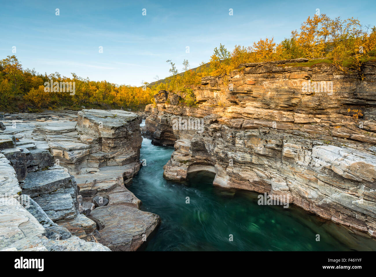 Abisko canyon d'automne, Abiskojokk Abiskojokk, rivière, Abisko National Park, Norrbotten, Lapland, Sweden Banque D'Images