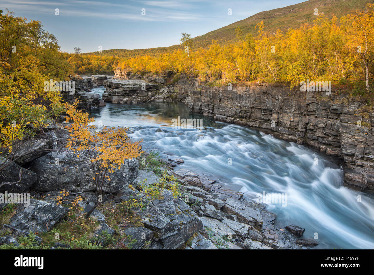 Abisko canyon d'automne, Abiskojokk Abiskojokk, rivière, Abisko National Park, Norrbotten, Lapland, Sweden Banque D'Images