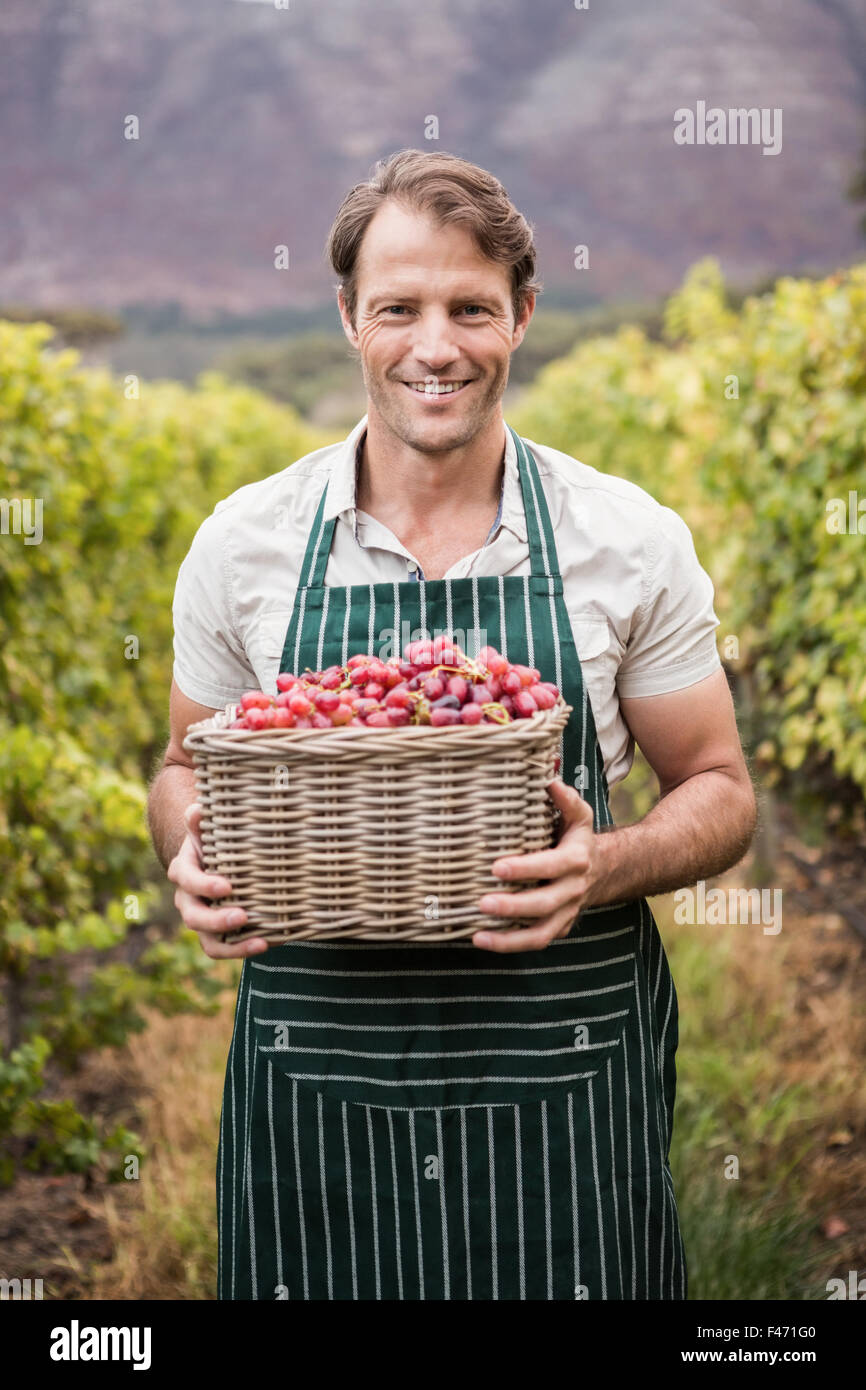 Vigneron heureux tenant un panier de raisins Banque D'Images Vigneron heureux tenant un panier de raisins Banque D'Images