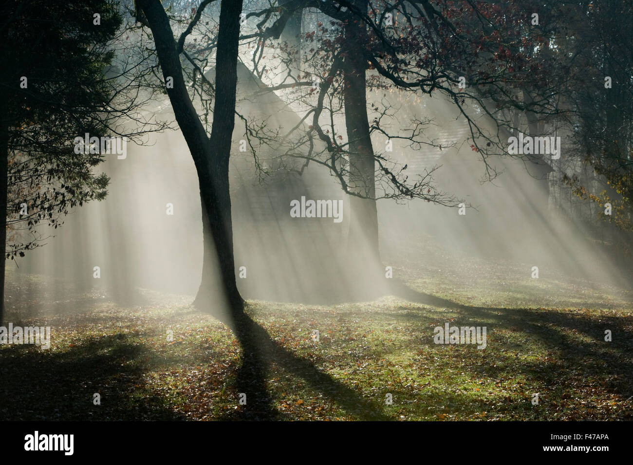 Le brouillard se lève, Wayah Bald, North Carolina, USA. Banque D'Images
