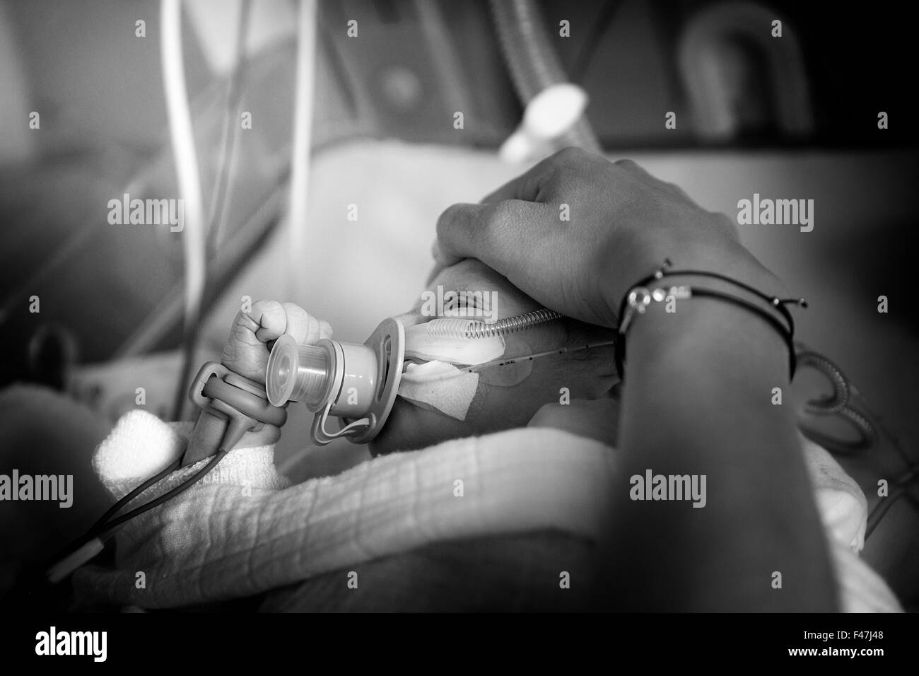 NÉONATALOGIE Banque D'Images