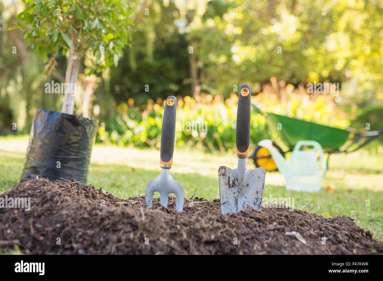 Fleurs en pot et des outils de jardinage Banque D'Images