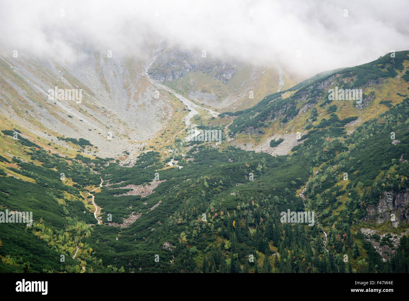 Sur la montagne à Tatras Banque D'Images