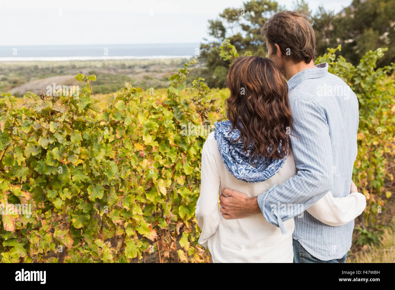 Cute couple posing in front of vineyard Banque D'Images