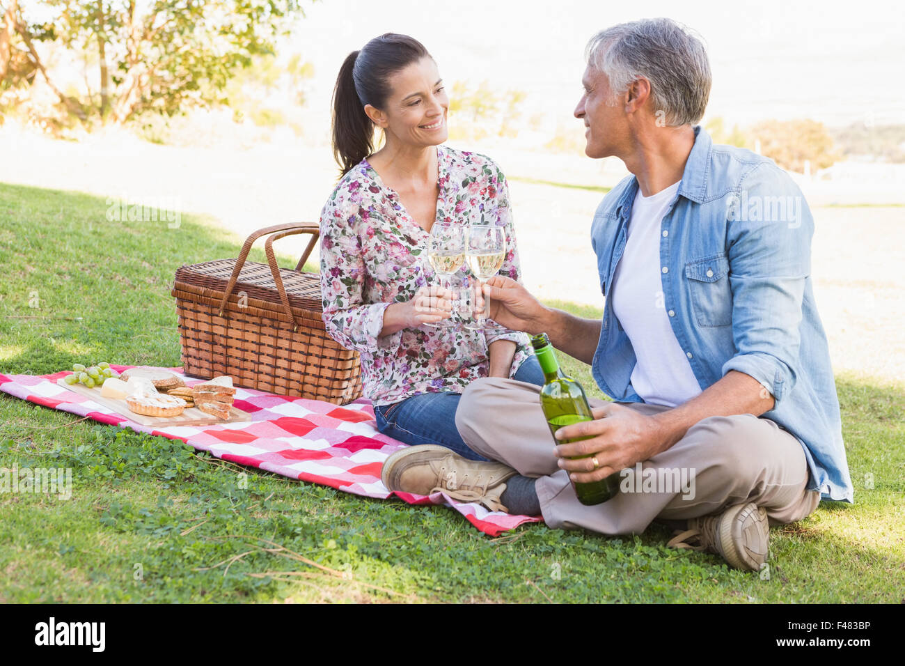 Couple having a picnic in park Banque D'Images Couple having a picnic in park Banque D'Images