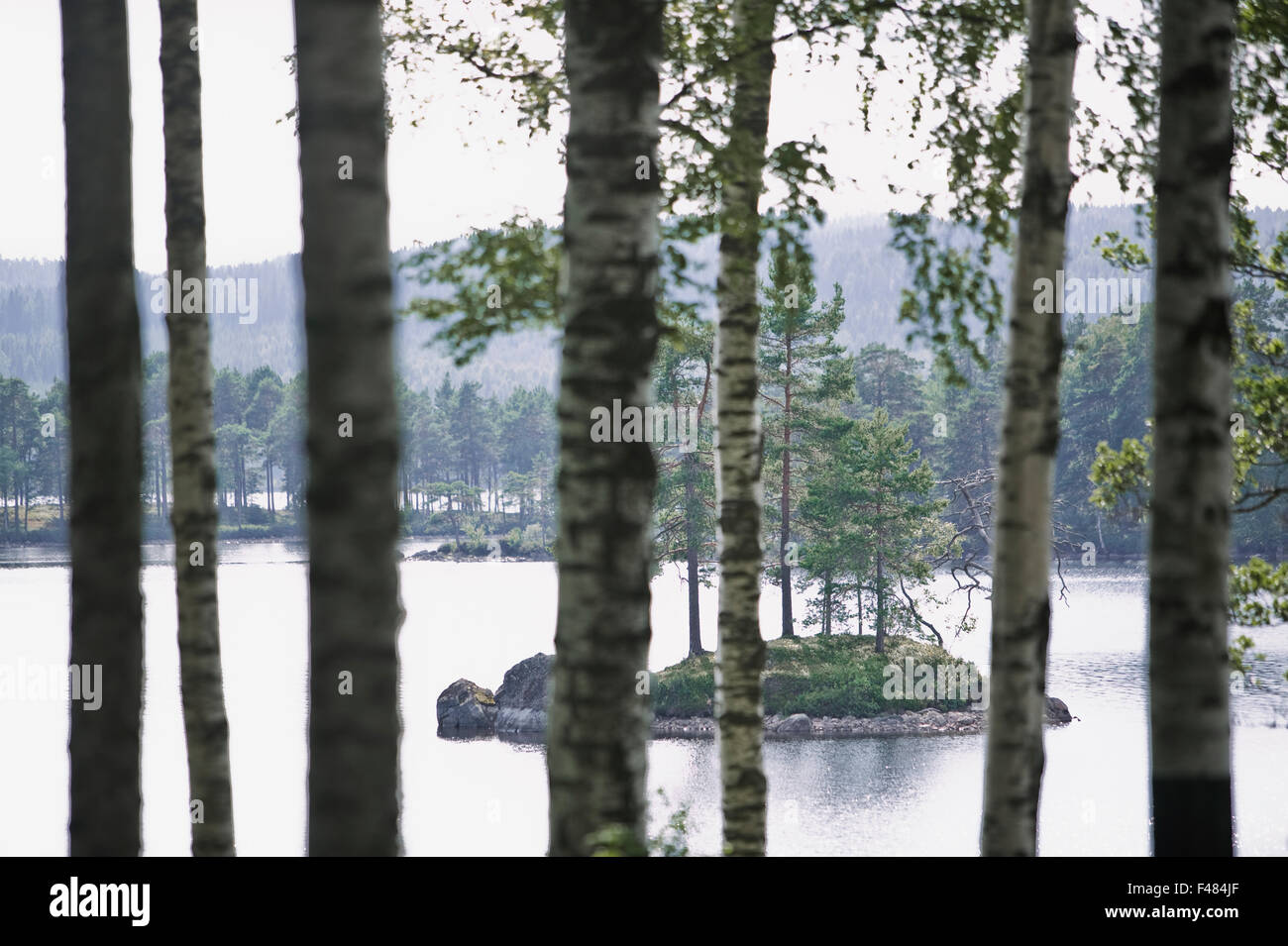Petite île dans un lac, la Suède. Banque D'Images