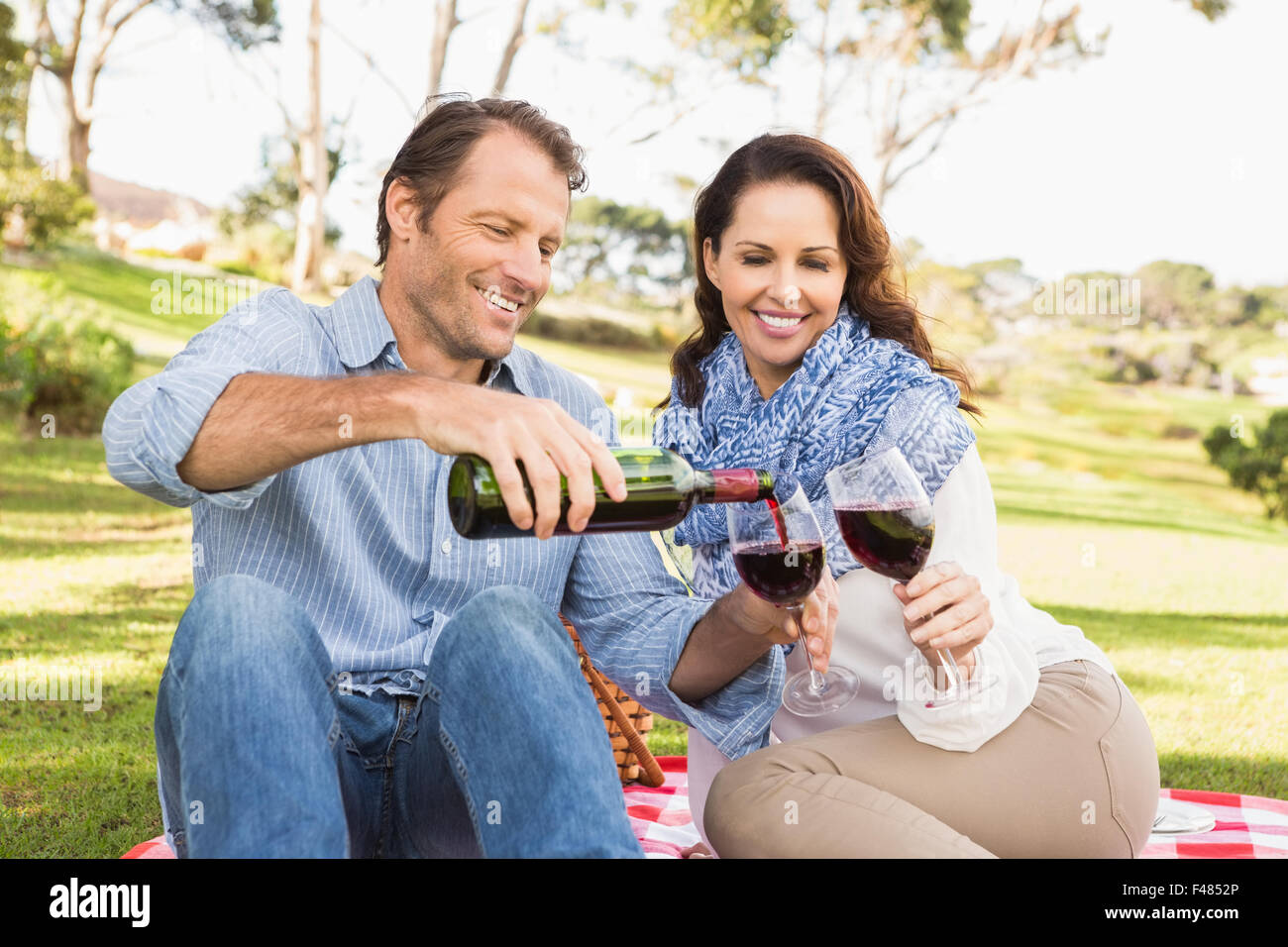 Cute couple drinking wine in a park Banque D'Images Cute couple drinking wine in a park Banque D'Images