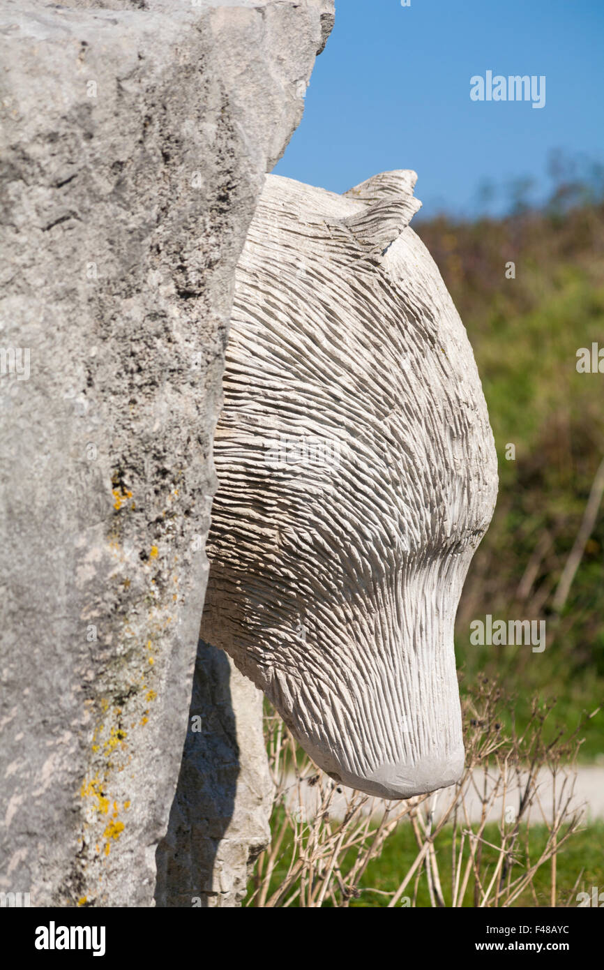 Sculpture d'ours en pierre au parc de sculptures de la carrière de Tout, île de Portland, Dorset Royaume-Uni en octobre - sculpture d'ours tête émergeant de la roche Banque D'Images