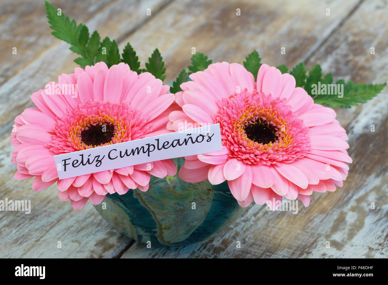 Feliz cumpleanos (ce qui signifie joyeux anniversaire en espagnol) avec carte gerberas rose Banque D'Images