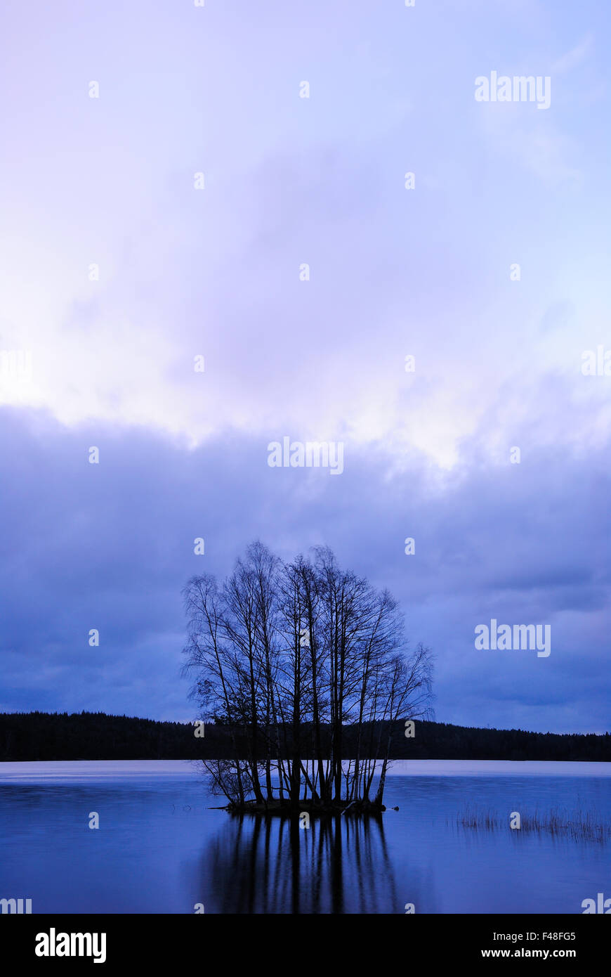 Une petite île dans un lac, la Suède. Banque D'Images