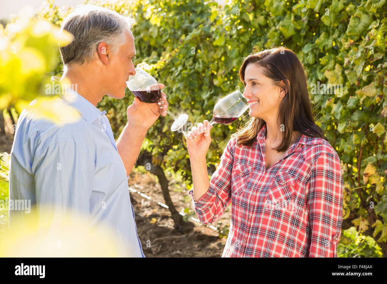 Smiling couple drinking wine Banque D'Images Smiling couple drinking wine Banque D'Images