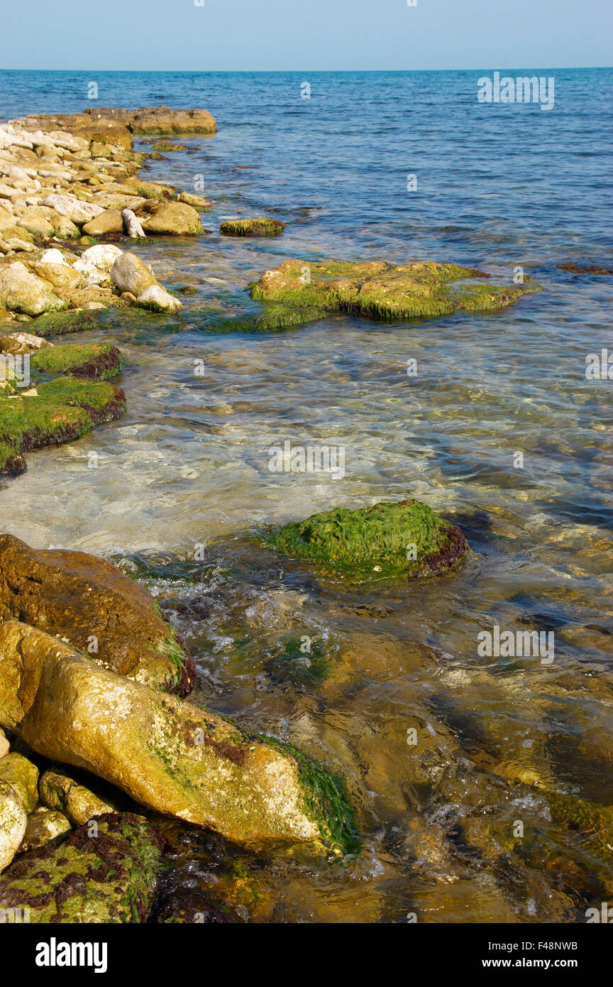 L'autre avec des pierres avec des algues marines. Banque D'Images