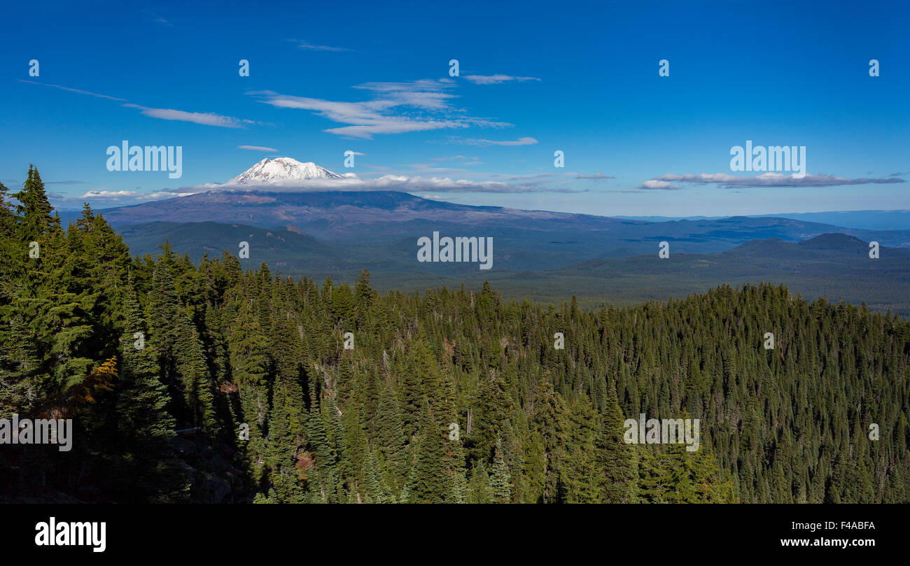 GIFFORD Pinchot National Forest, North Carolina, USA - Mont Adams, d'une altitude de 12 281 ft (3 743 m), une montagne de glace dans la CASCA Banque D'Images