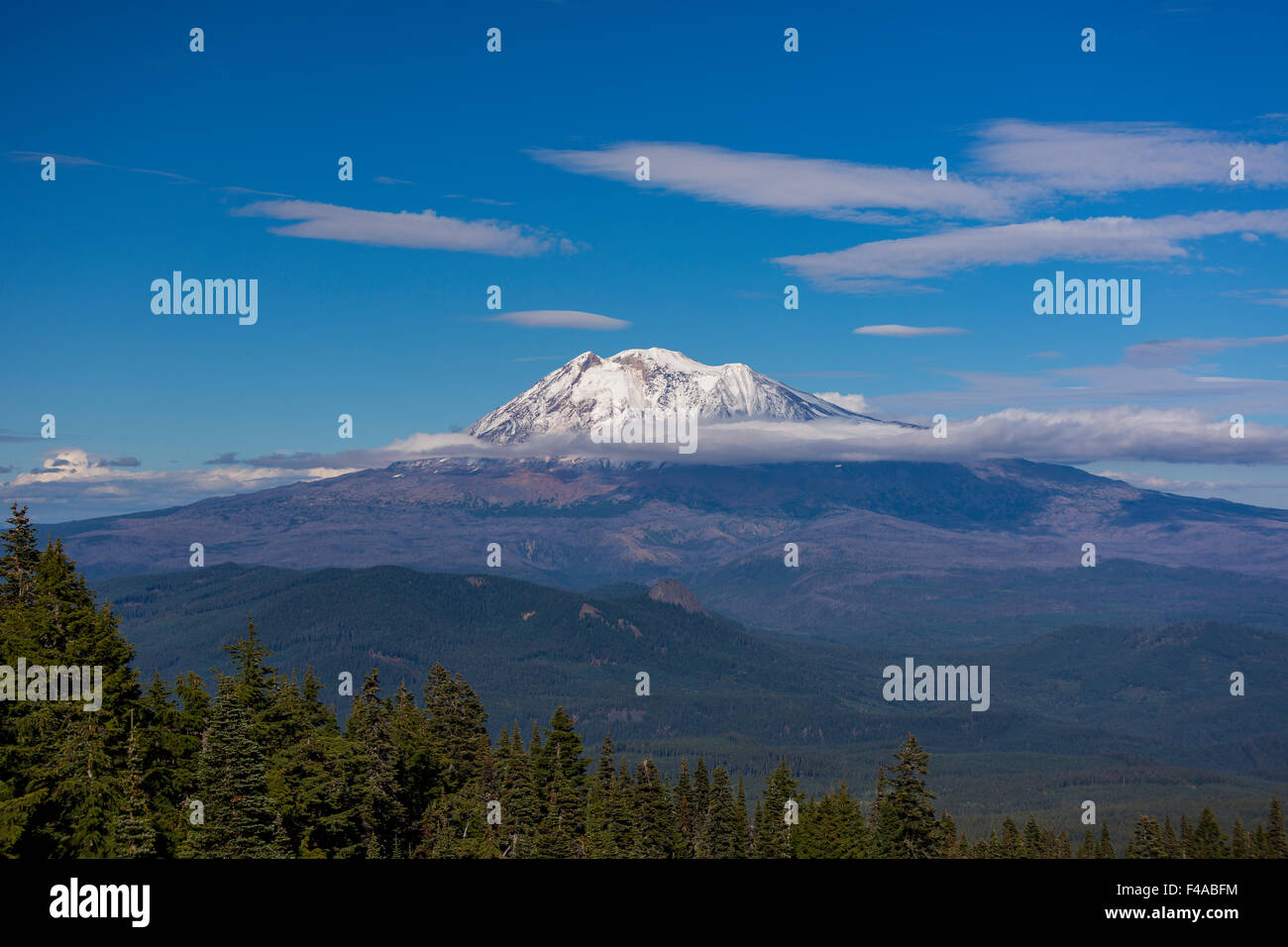 GIFFORD Pinchot National Forest, North Carolina, USA - Mont Adams, d'une altitude de 12 281 ft (3 743 m), la montagne, des cascades de glace Banque D'Images