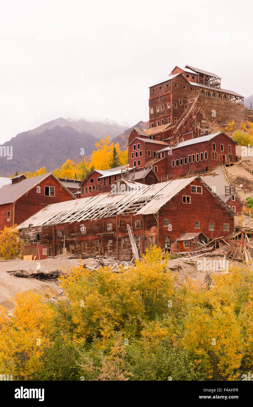 Automne vient à la haute montagne près de McCarthy Alaska Banque D'Images