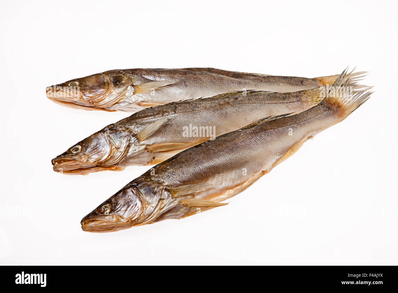 Poisson Banque D'Images