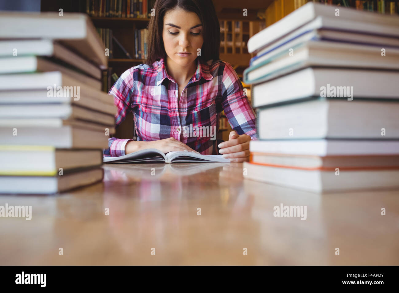 Femelle concentré student studying at desk Banque D'Images Femelle concentré student studying at desk Banque D'Images