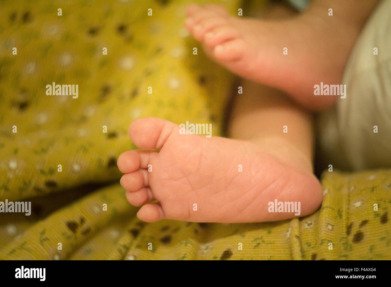 Gros plan du nouveau-né pieds Banque D'Images
