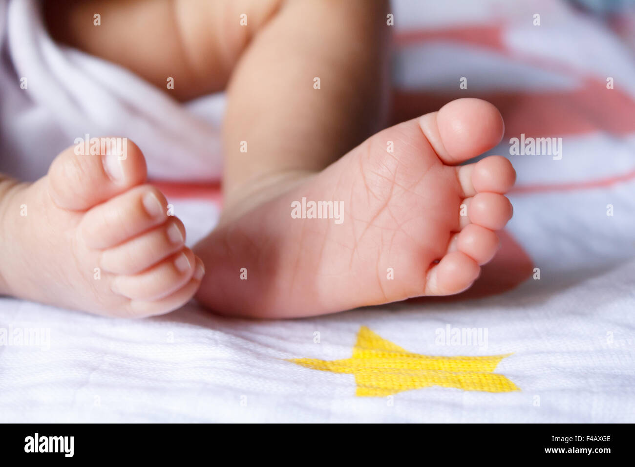 Gros plan du nouveau-né pieds Banque D'Images