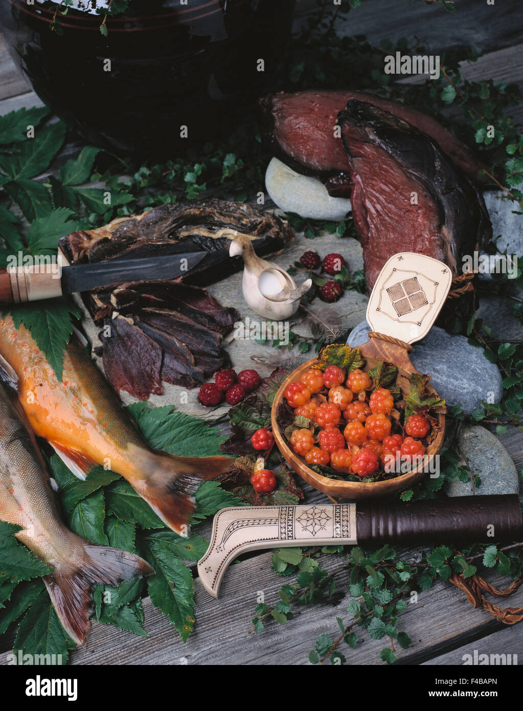 La viande de cervidés, de poisson et de l'airelle. Banque D'Images