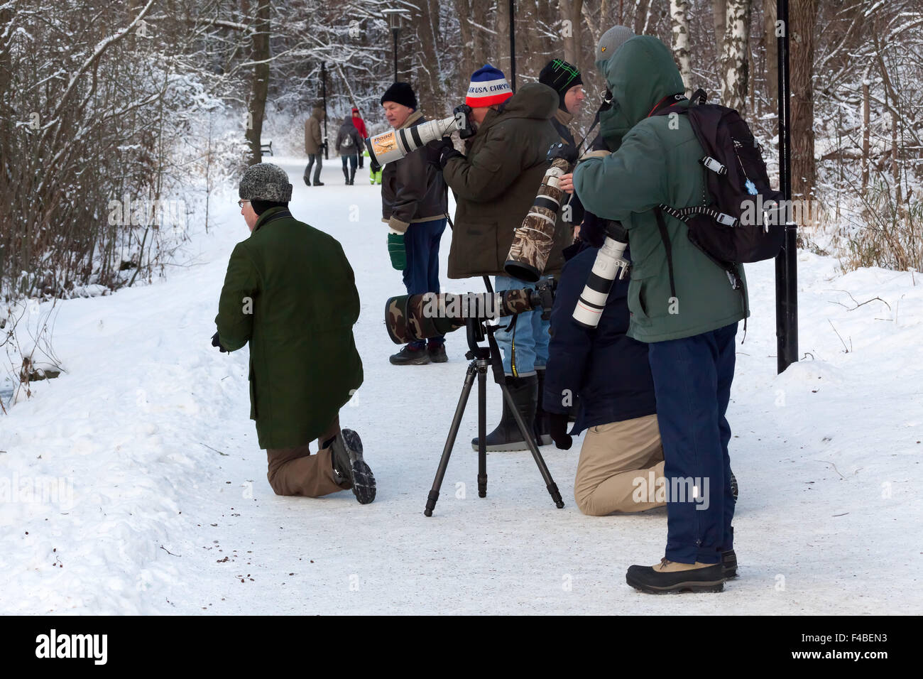 Photographe à prendre des photos d'oiseaux de la faune. Banque D'Images