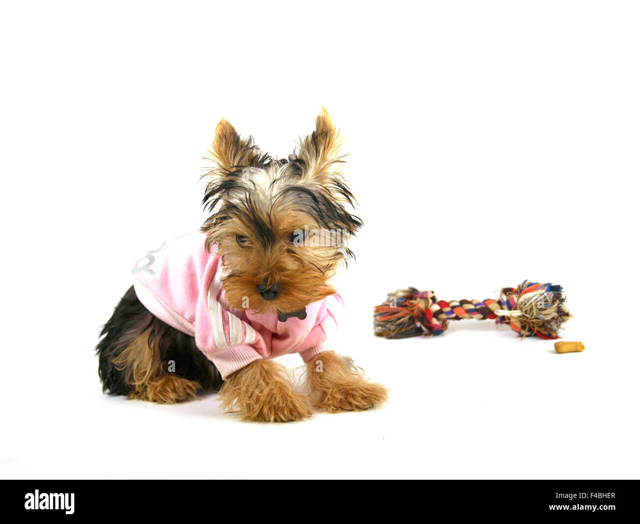 Yorkshire Banque D'Images