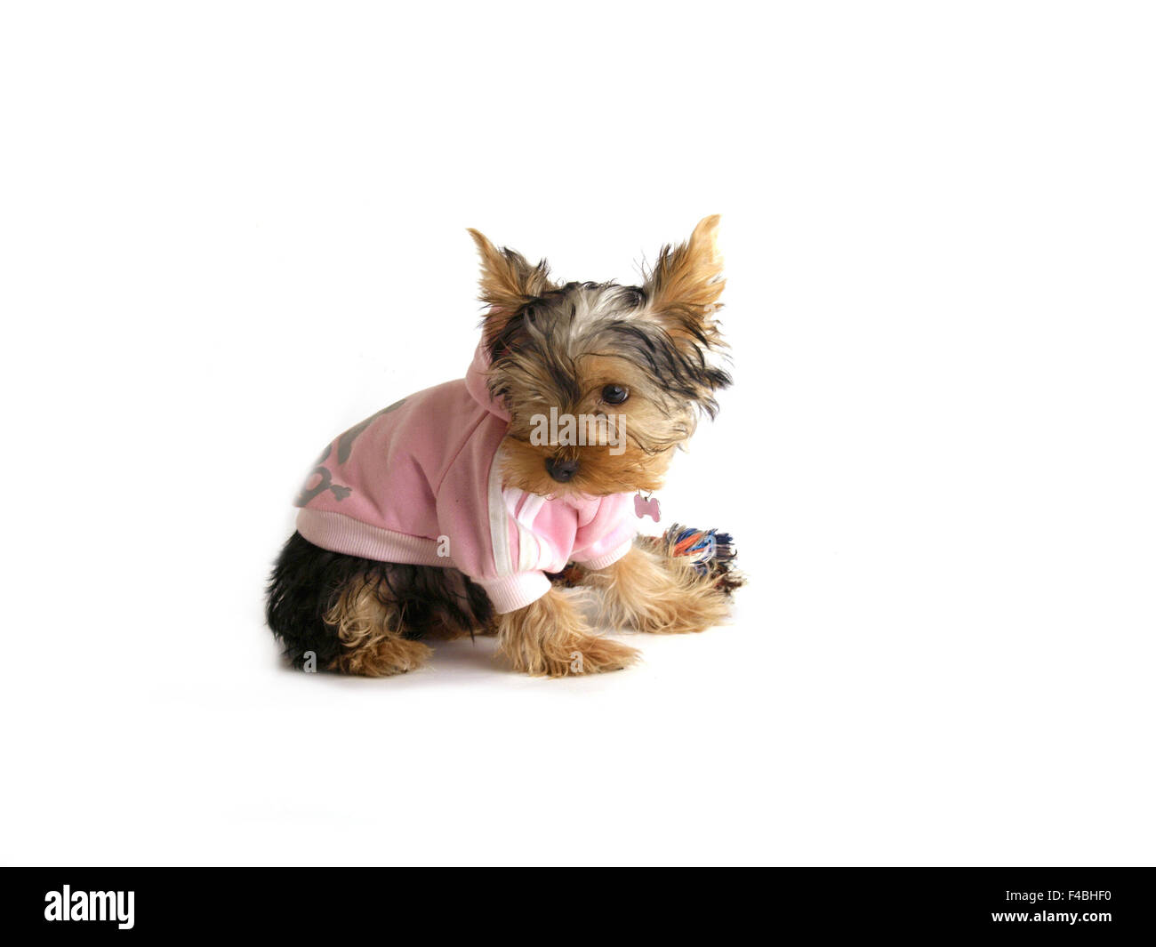 Yorkshire Banque D'Images