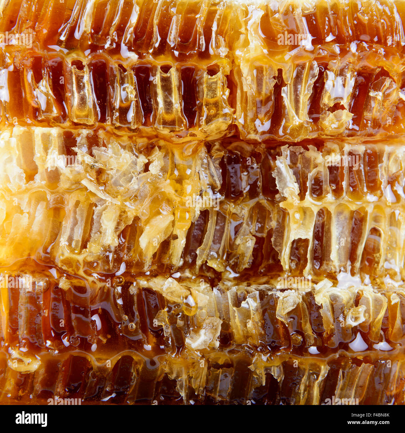 Arrière-plan de miel avec du miel Banque D'Images