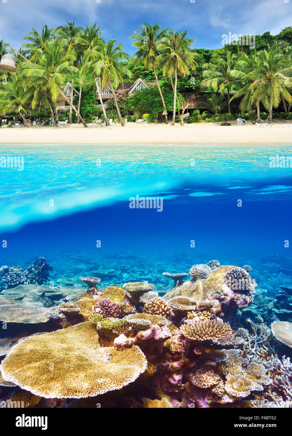 Plage avec vue sous-marine des récifs coralliens Banque D'Images
