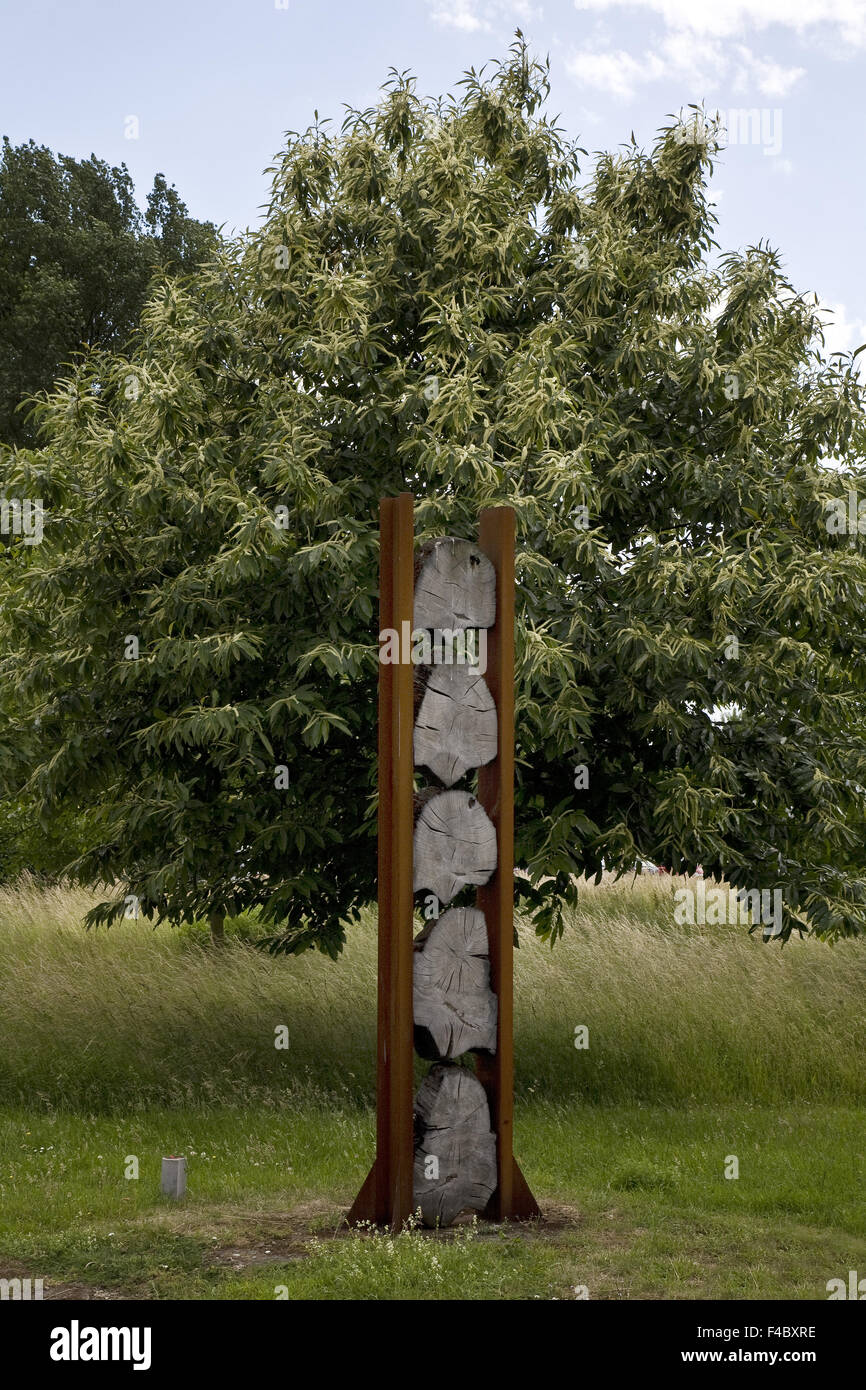 Woodland Garden Ripshorst, Oberhausen, Allemagne Banque D'Images