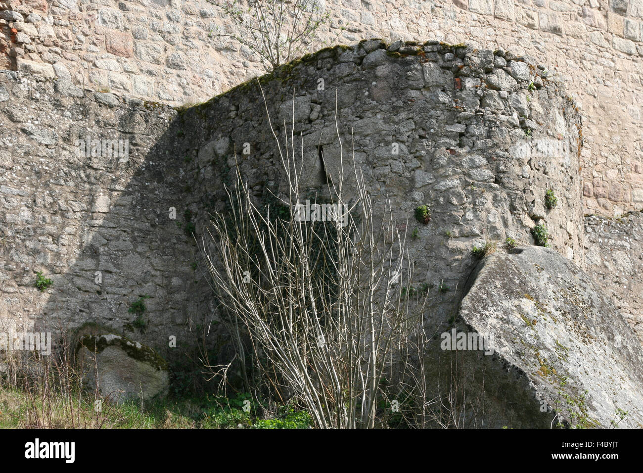 Ruine du château leuchtenberg en Bavière Banque D'Images