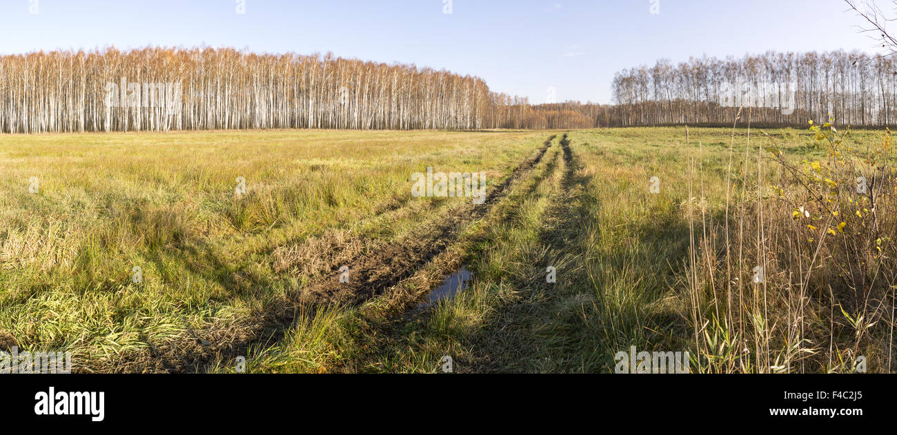 terre vierge Banque D'Images