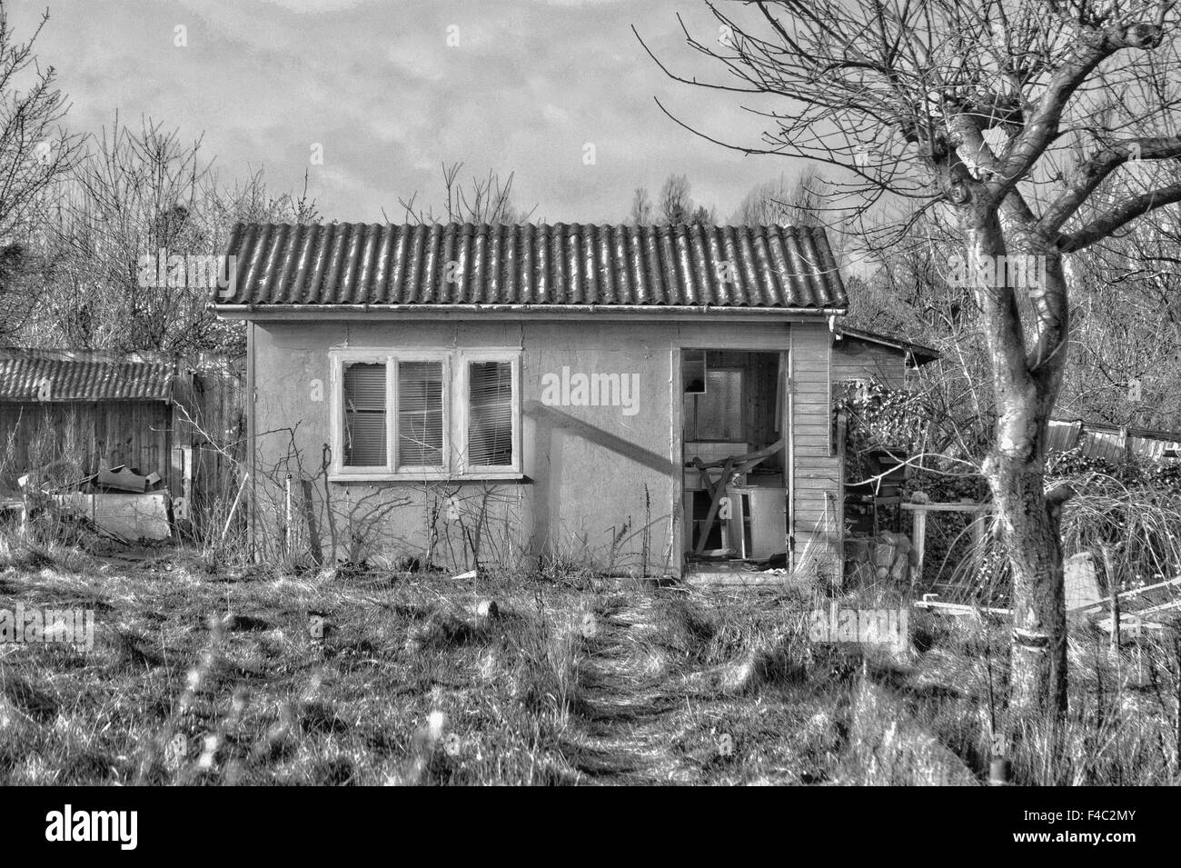 Parcelle de jardin enchanté Banque D'Images