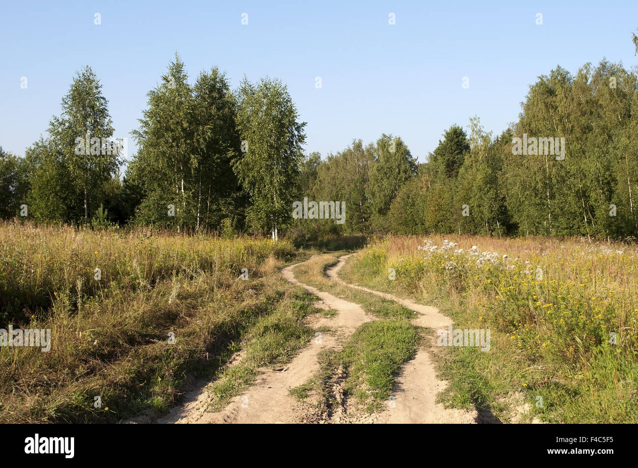 Route de campagne sinueuse Banque D'Images