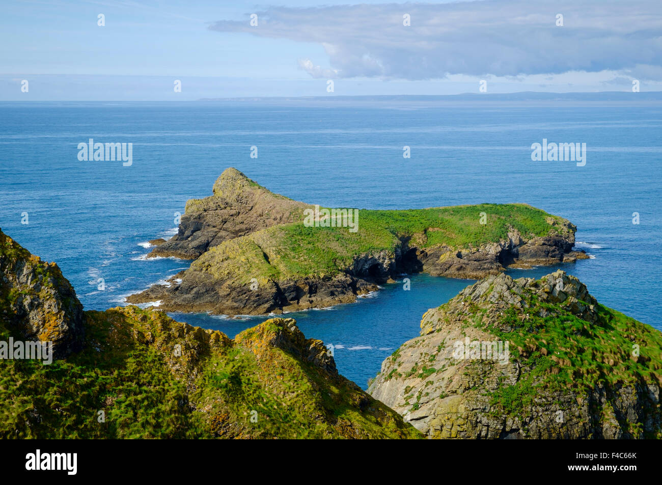 Meneau Island, le sanctuaire des oiseaux, meneau, Cornwall, Angleterre, Royaume-Uni - de la South West Coast Path Banque D'Images