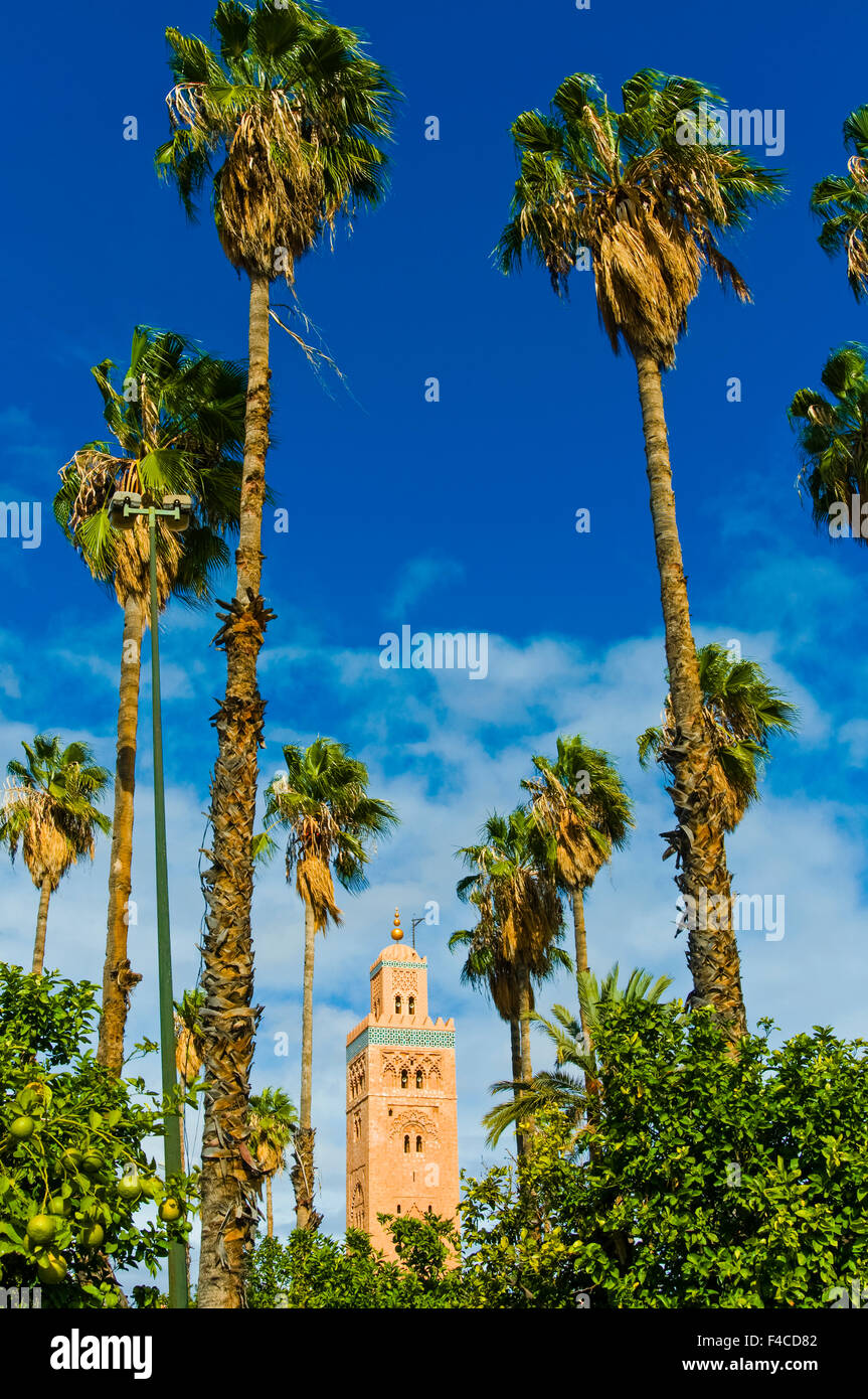 Minaret de la Koutoubia, Marrakech, Maroc. Banque D'Images