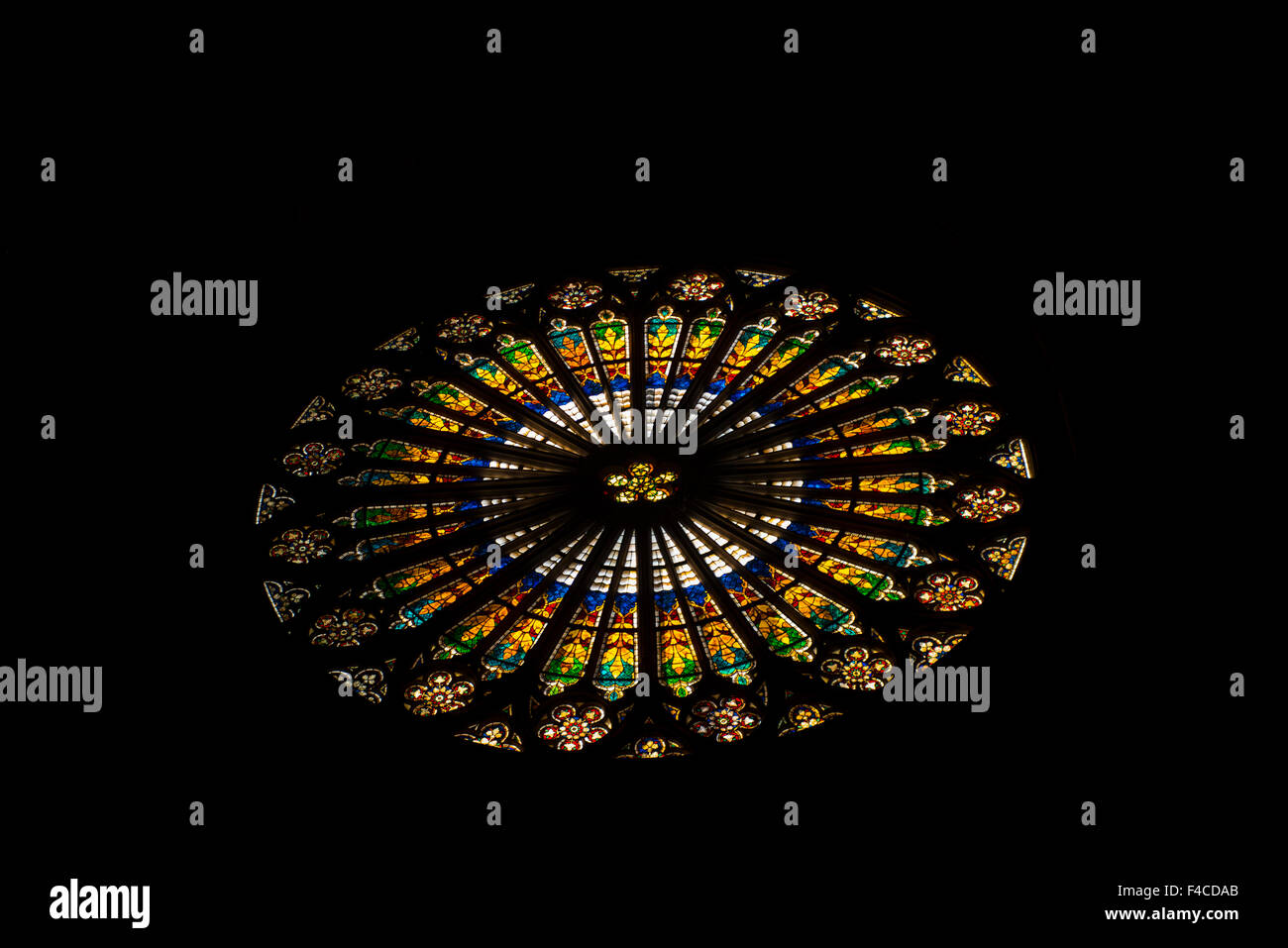 Rose, la cathédrale de Strasbourg, Alsace, France Banque D'Images