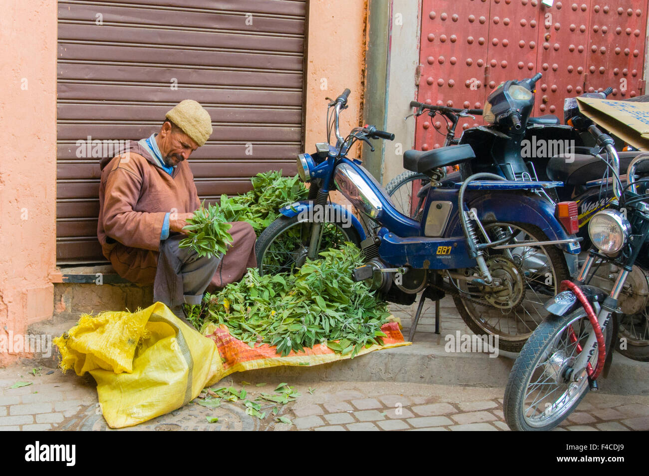Vendeur de légumes au souk à Marrakech, Maroc. Banque D'Images