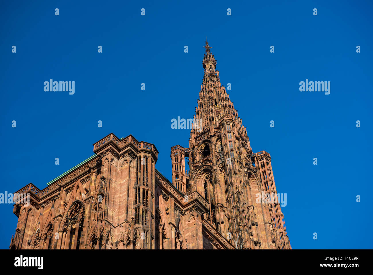 La cathédrale de Strasbourg à la première lumière, Octobre 2015 Banque D'Images